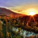 Avatar de Matías Pellegrín